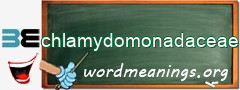 WordMeaning blackboard for chlamydomonadaceae